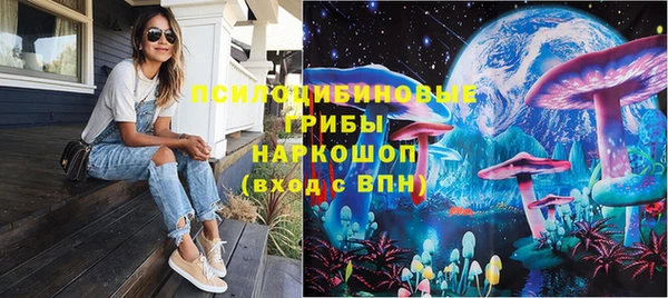 СК Абинск