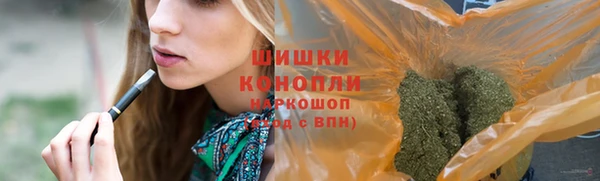 СК Абинск