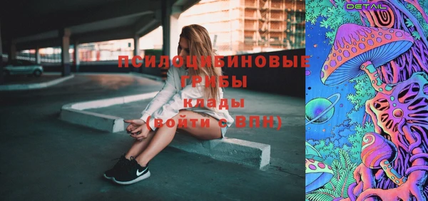СК Абинск