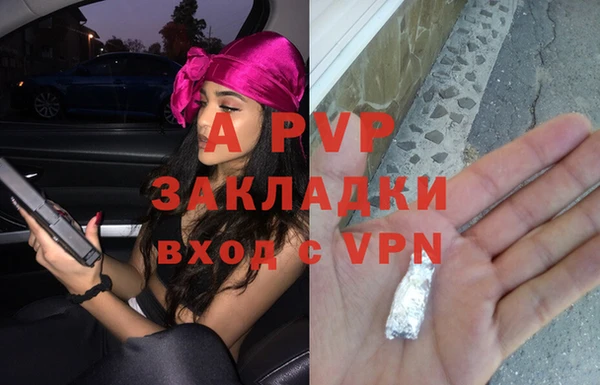 СК Абинск