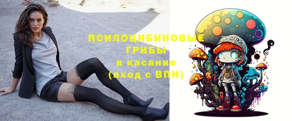 СК Абинск